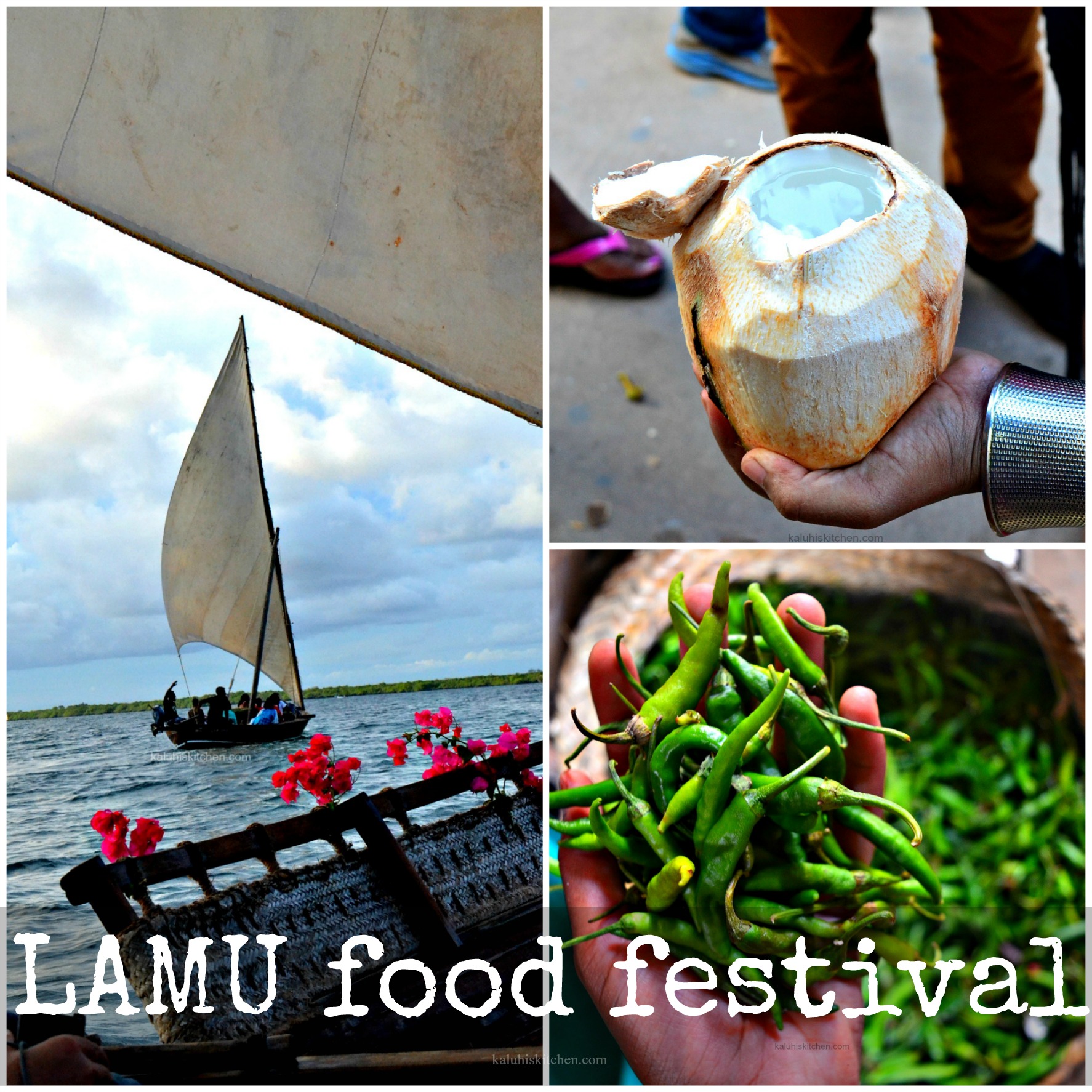 LAMU FOOD FESTIVAL COVERED BY BEST KENYAN FOOD BLOGGERS KALUHI, WANGECI WANDERE, GATUIRI IRAUKA, MOHAMED ABDULRAHMAN, JAYSON MBOGOH, LYRA AOKO, KAREN LUCAS_ONJA BLOGGERS