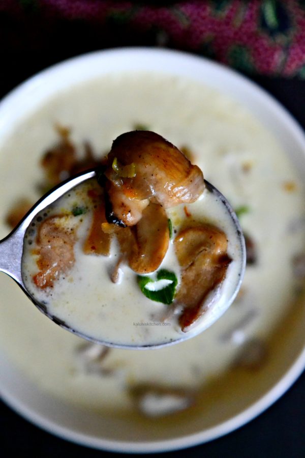 how to make coconut milk soup_vegan soups_paleo soups_dairy free soups