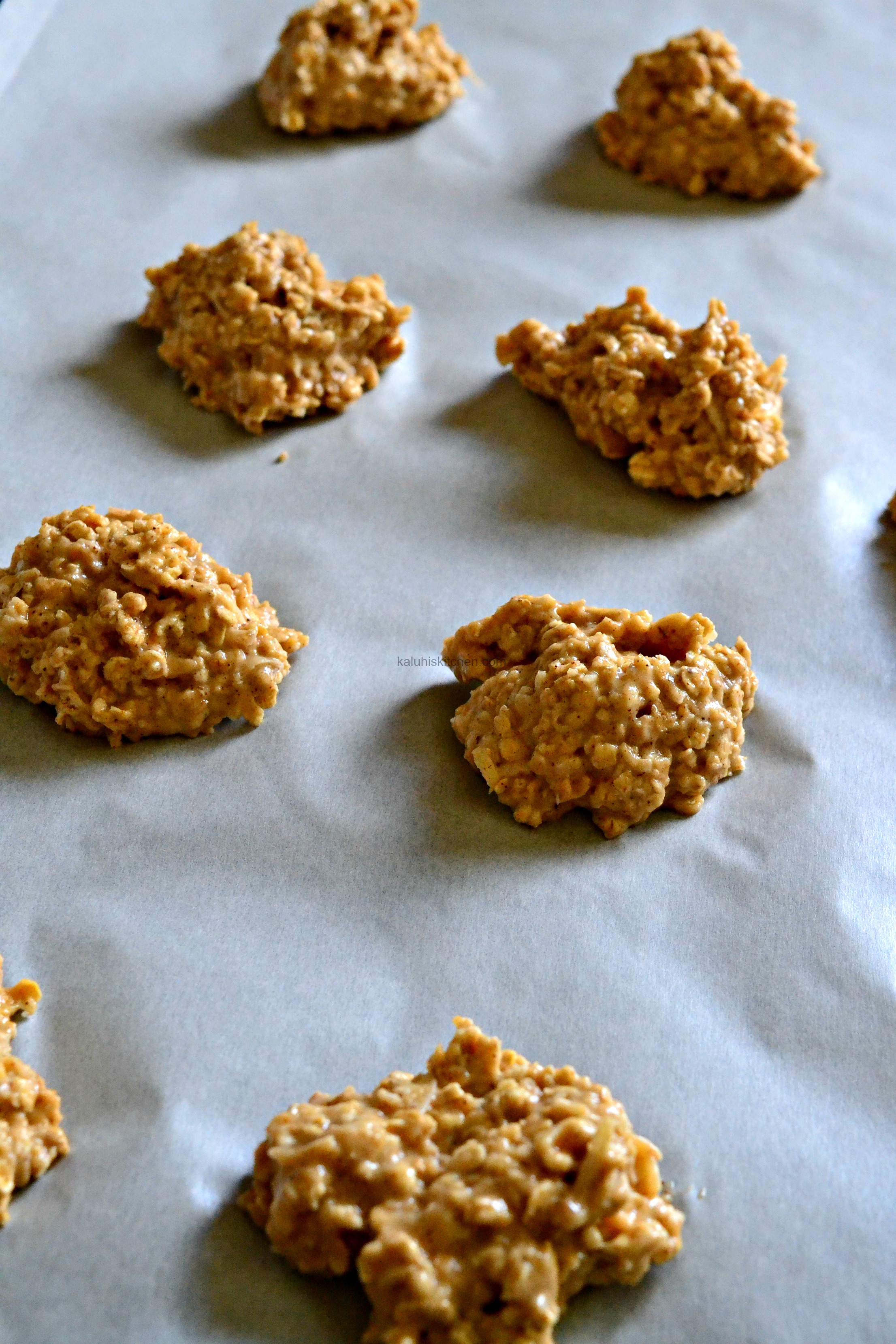 coconut and cinnamon oat cookies